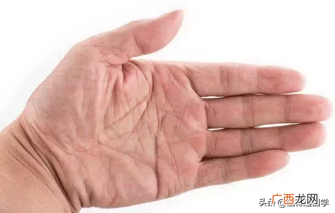男左女右准吗 男生手相看哪只手