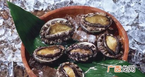 鲍鱼直接冷冻还是煮熟后冷冻好 鲍鱼直接冷冻还是煮熟后冷冻