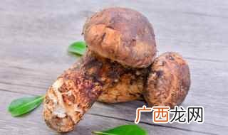 松茸的做法大全 松茸怎么做好吃