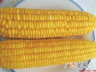 玉米老了怎么煮才能嫩