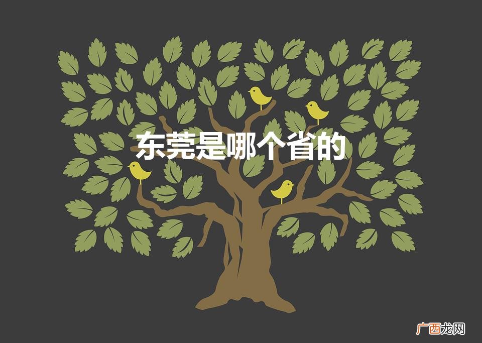 东莞是属于哪个省哪个市 东莞是哪个省的