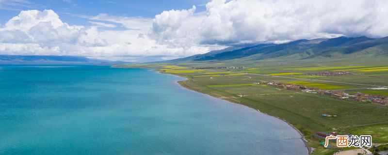 青海湖裸鲤是什么意思 青海湖为什么只有一种鱼