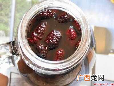 桑葚怎么发酵成酒的具体操作步骤 桑葚怎么发酵成酒