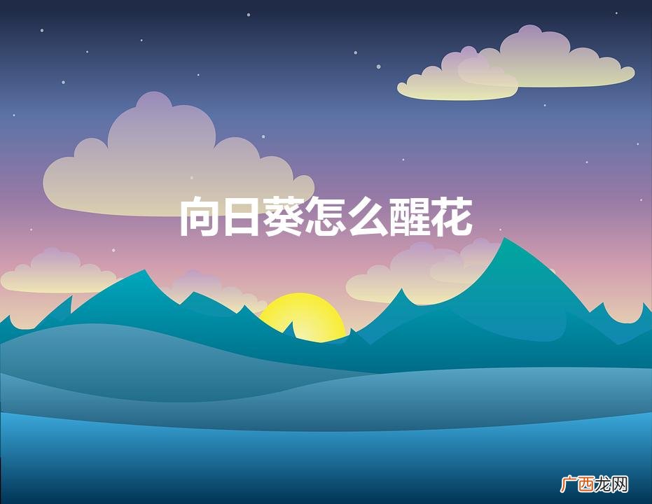 向日葵醒花的正确方法和技巧 向日葵怎么醒花