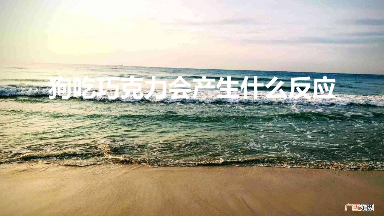 狗狗吃了巧克力会有什么反应 狗吃巧克力会产生什么反应