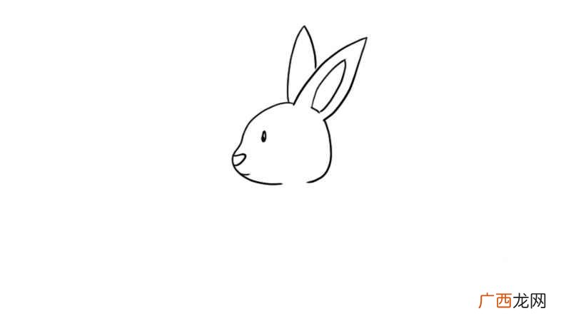 玉兔简笔画 玉兔的画法