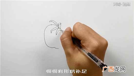 西红柿的椭圆形状有哪些 西红柿简笔画