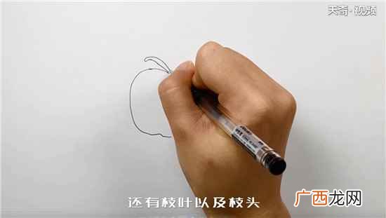 西红柿的椭圆形状有哪些 西红柿简笔画