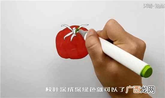 西红柿的椭圆形状有哪些 西红柿简笔画