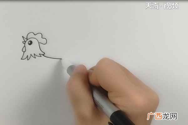 公鸡的身体和尾巴有什么区别 大公鸡简笔画