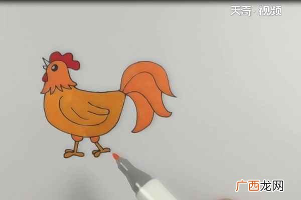 公鸡的身体和尾巴有什么区别 大公鸡简笔画
