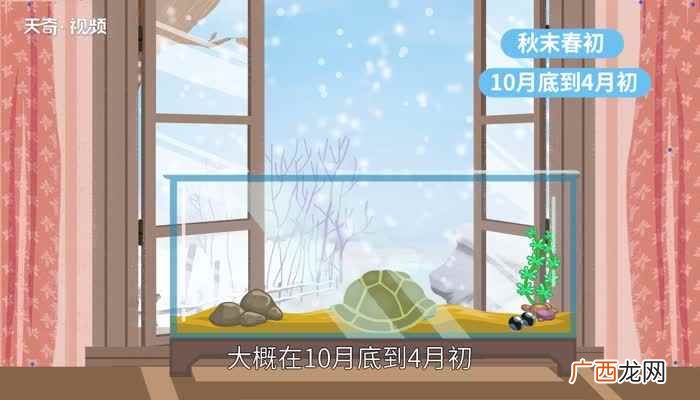乌龟冬眠吗 什么龟不需要冬眠