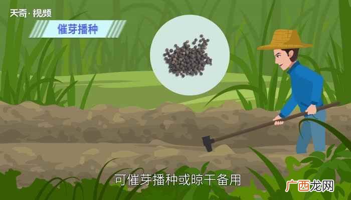 福尔马林溶液的作用 福尔马林溶液的作用是什么