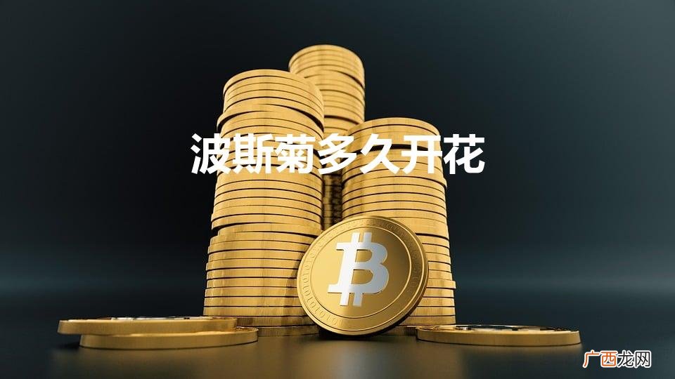 一般波斯菊什么时候开花 波斯菊多久开花