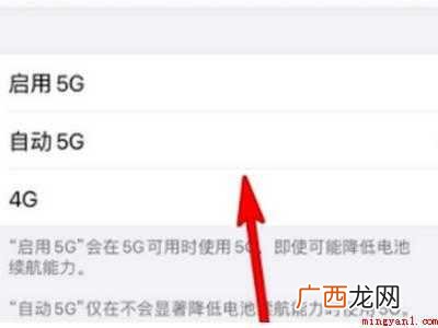 苹果12用自动5g还是启用5g的具体操作步骤 苹果12用自动5g还是启用5g