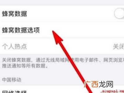 苹果12用自动5g还是启用5g的具体操作步骤 苹果12用自动5g还是启用5g