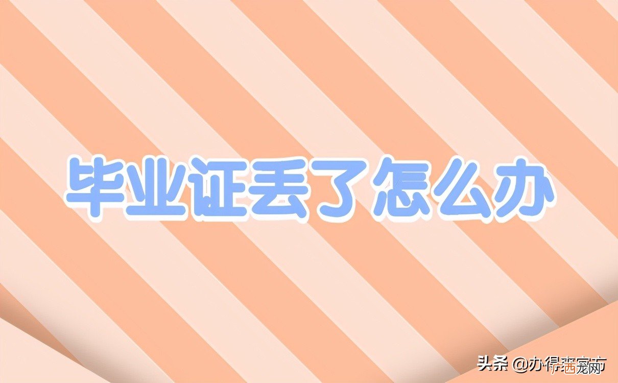 如何补办流程步骤详情 大学毕业证丢了能补吗