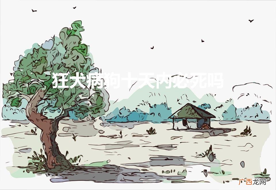 狂犬病狗十天内必死吗（狂犬病十天狗不死)