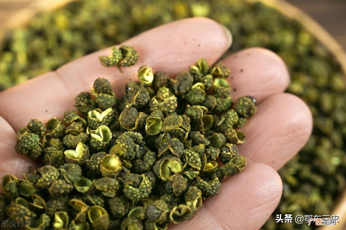 都是同一花椒树上的果子吗 青花椒和红花椒的区别在哪里