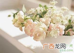 鲜花如何保持新鲜持久 鲜花保鲜的诀窍都在这里
