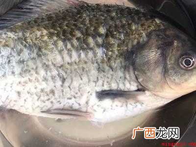 小鲫鱼怎么做好吃又简单家常的共有4步,可做红烧 小鲫鱼怎么做好吃又简单家常的