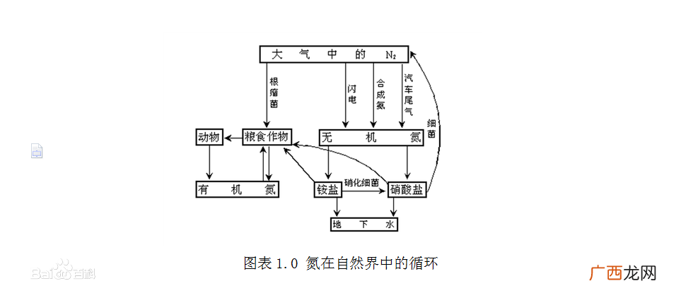 氮是空气中最多的元素 空气中含量最多的元素是什么气体