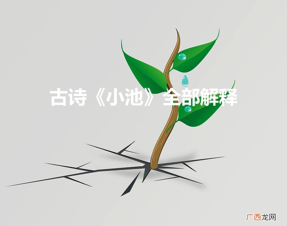 古诗《池上》全部解释 古诗《小池》全部解释