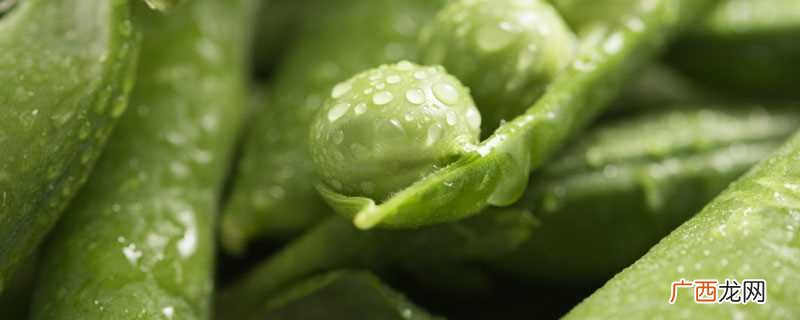 豌豆放冰箱一年能吃吗 青豌豆煮多久才能熟