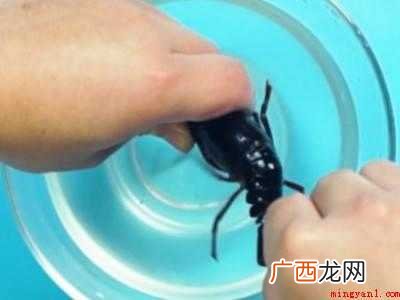 家常龙虾怎么做好吃又简单的具体操作步骤 家常龙虾怎么做好吃又简单