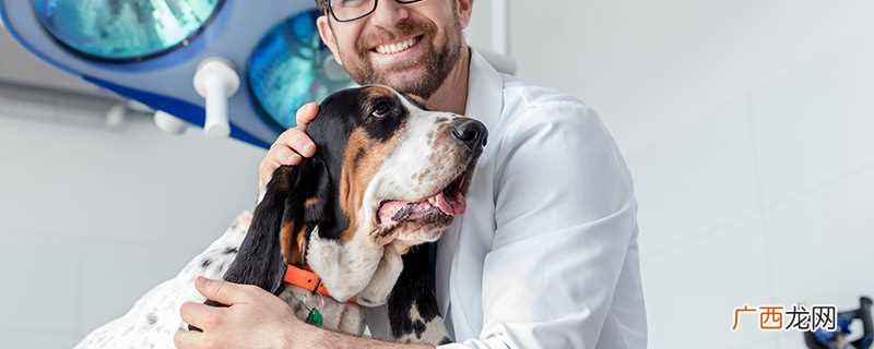 狗狗什么情况下会得狂犬病 狗狗常见的品种有哪些