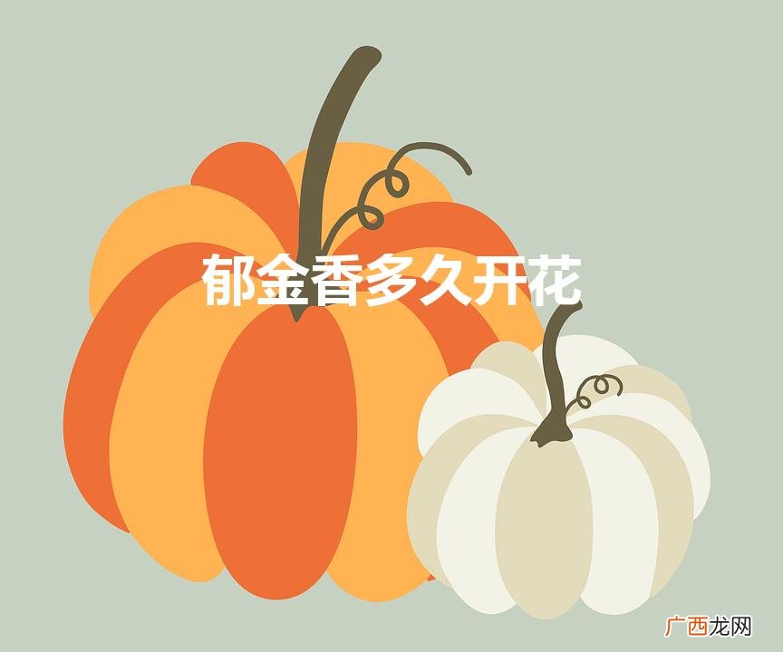 郁金香一般多久开花 郁金香多久开花