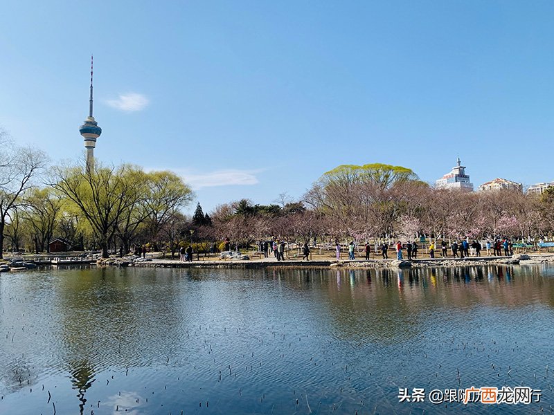 北京旅游攻略5日游及其花费 北京最美的十大公园