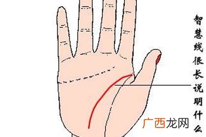 手掌纹智慧线有两条分析 女生掌纹只有两条线