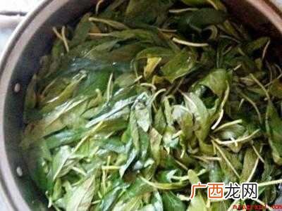 芝麻叶怎么晒干的具体操作步骤 芝麻叶怎么晒干