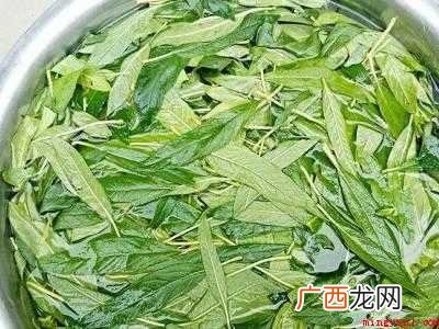 芝麻叶怎么晒干的具体操作步骤 芝麻叶怎么晒干