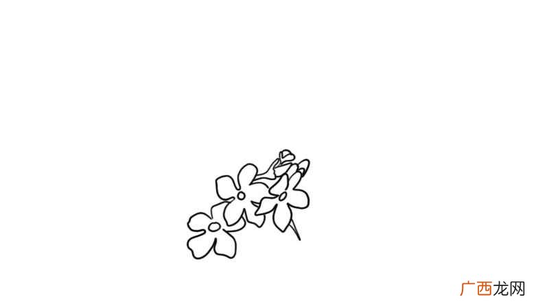 描绘樱花花朵的形状有哪些 樱花简笔画的教程