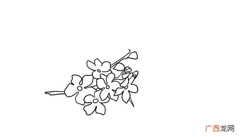 描绘樱花花朵的形状有哪些 樱花简笔画的教程