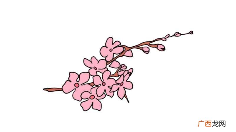 描绘樱花花朵的形状有哪些 樱花简笔画的教程