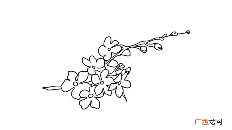 描绘樱花花朵的形状有哪些 樱花简笔画的教程