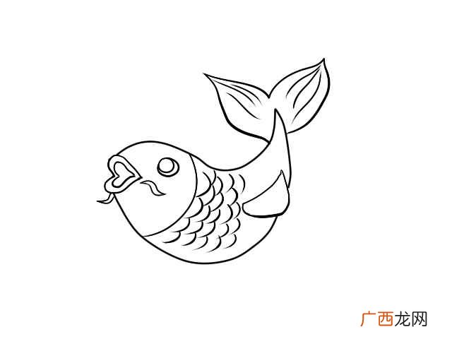 鲤鱼简笔画图片 鲤鱼简笔画
