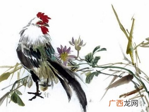 属鸡命格解析 93年属什么命,五行属水还是金