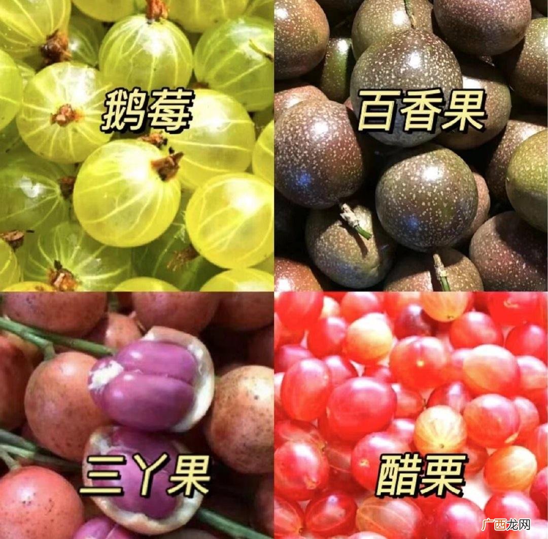 这些热带水果没吃就白来了 云南西双版纳热带水果推荐