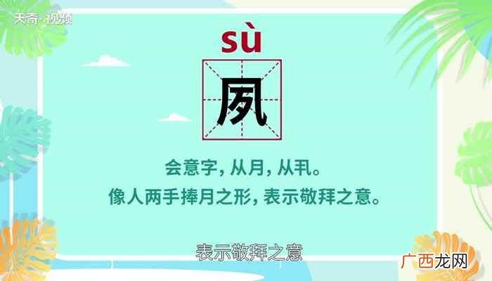 汉语汉字:意思是平素的心愿 夙怎么读