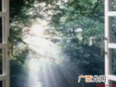 屋里有蚊子快速消灭有什么妙招