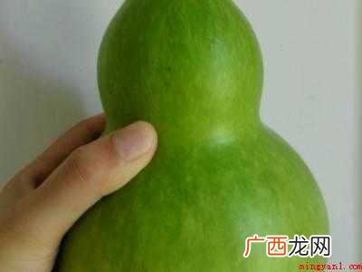 瓢瓜怎么做好吃的具体操作步骤 瓢瓜怎么做好吃