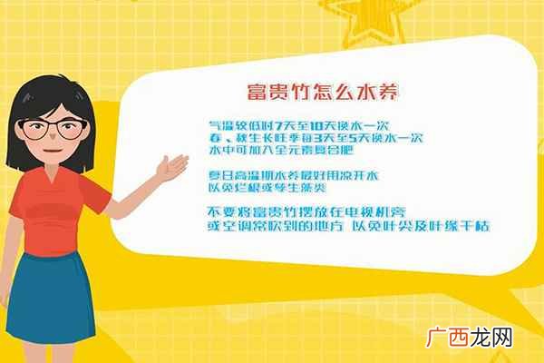 富贵竹怎么水养才旺盛 富贵竹怎么水养