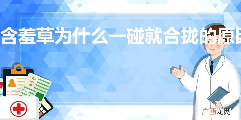 为什么含羞草会合拢 含羞草为什么一碰就合拢的原因