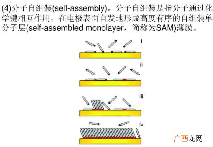n是正极还是负极