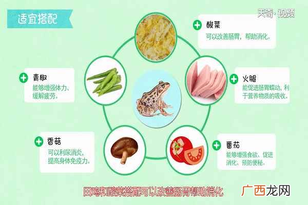 田鸡适合与哪些食物进行搭配 田鸡的功效与作用