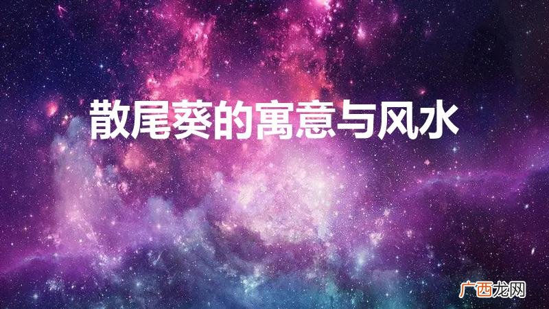 散尾葵的寓意与风水是什么 散尾葵的寓意与风水